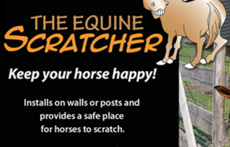 Keep Your Horses Happy