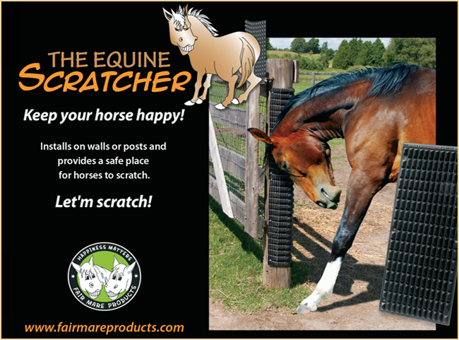 scratch post ONLY ITCH STICK EQUESTRIAN SCRATCH HORSE SCRATCH POST ITCH-STICK 
